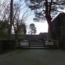 どうどうたる大きさだったことは分かります。