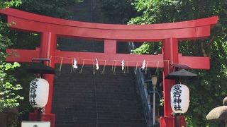 都会のオアシス