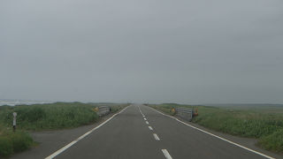 原野が広がっている