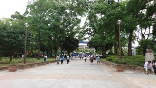 横浜スタジアムがある公園です。