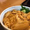 ウニ丼！