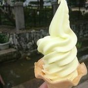 散策の途中でソフトクリーム