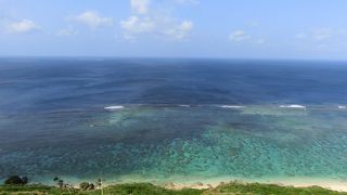 高台からの絶景だった