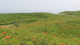 ７月に立ち寄りました