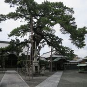 大慶寺にあります。