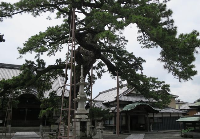 大慶寺にあります。