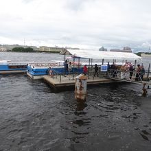 ネバ川観光船乗り場