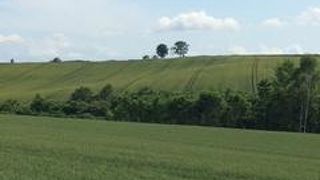 言われてみれば