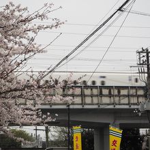神社前で撮ることができました