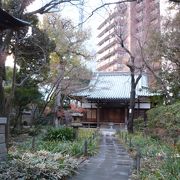 東福寺 クチコミ アクセス 営業時間 渋谷 フォートラベル