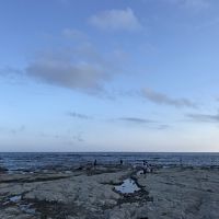 目の前がこの海！