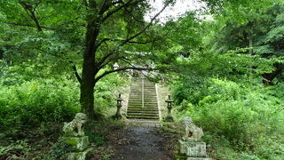 トレッキングコースがある