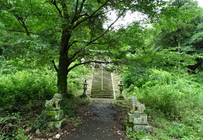 湯川山