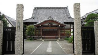 草花が美しい小さな庭があります