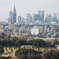 ホテル高層階からの眺め