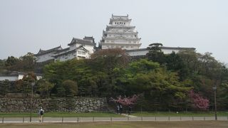 姫路城ベストスポット