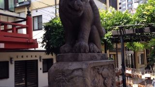 石造りなのに毛並みが