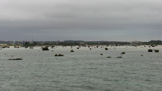 ビーチが岩だらけでした