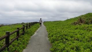 白鳥崎の近くまで遊歩道を歩いて行きました