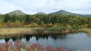 10月上旬でも紅葉がきれいでした
