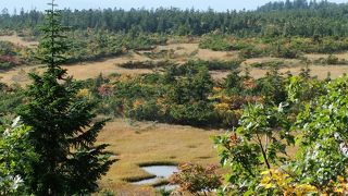 下毛無岱の紅葉時の風景は素晴らしいです