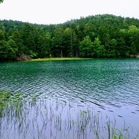 オンネトーはすぐそば