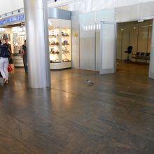 鳩が普通に歩いてる