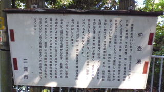 三浦西海岸の穴場