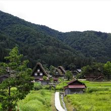 和田家からの眺め