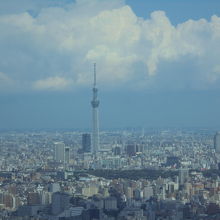 スカイツリーを臨む