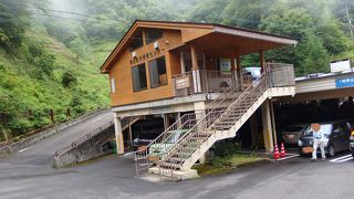 剥製がいっぱいあります