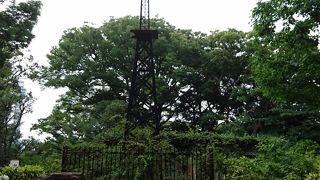 風車と遺構が印象に残りました。