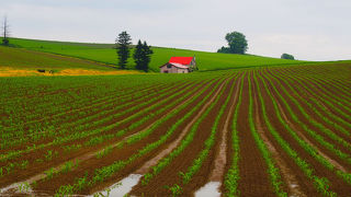 パノラマロードにある人気の撮影スポット！