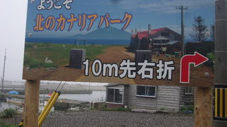 ツアー観光客の動向に注意！