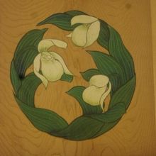 レブンアツモリソウが描かれた天井画の様子