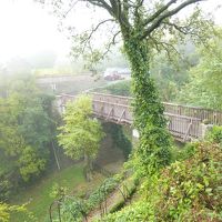 10mの橋を渡って