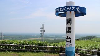 しあわせのはちみつソフト