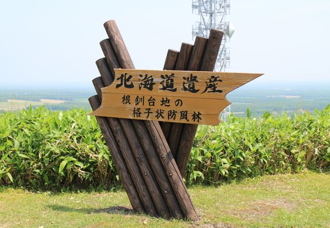 根釧台地の格子状防風林 クチコミ アクセス 営業時間 中標津 フォートラベル 根釧台地の格子状防風林 クチコミ アクセス 営業時間 中標津 フォートラベル