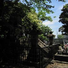 ６スカイツリーとお墓