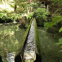 熊野の清水