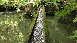 熊野の清水