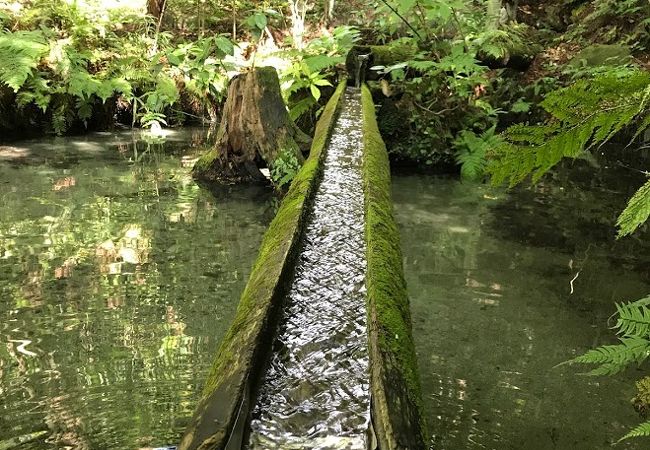 熊野の清水