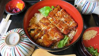 【オススメ！】浜松のうなぎ屋さん