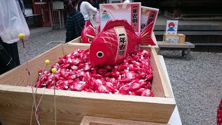 見所盛りだくさん