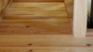 新しくなった小田原城