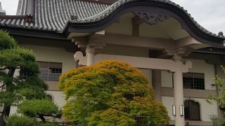 総ヒノキ造りの山門