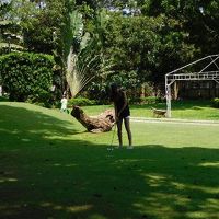 アプローチの練習ができる芝生