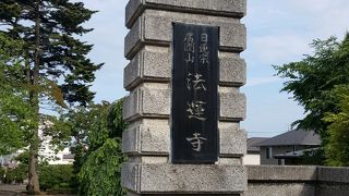 枝垂桜や百日紅の木が