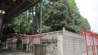 ７月上旬祇園会の日に開扉するそうです