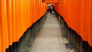 鳥居が連なっている神社
